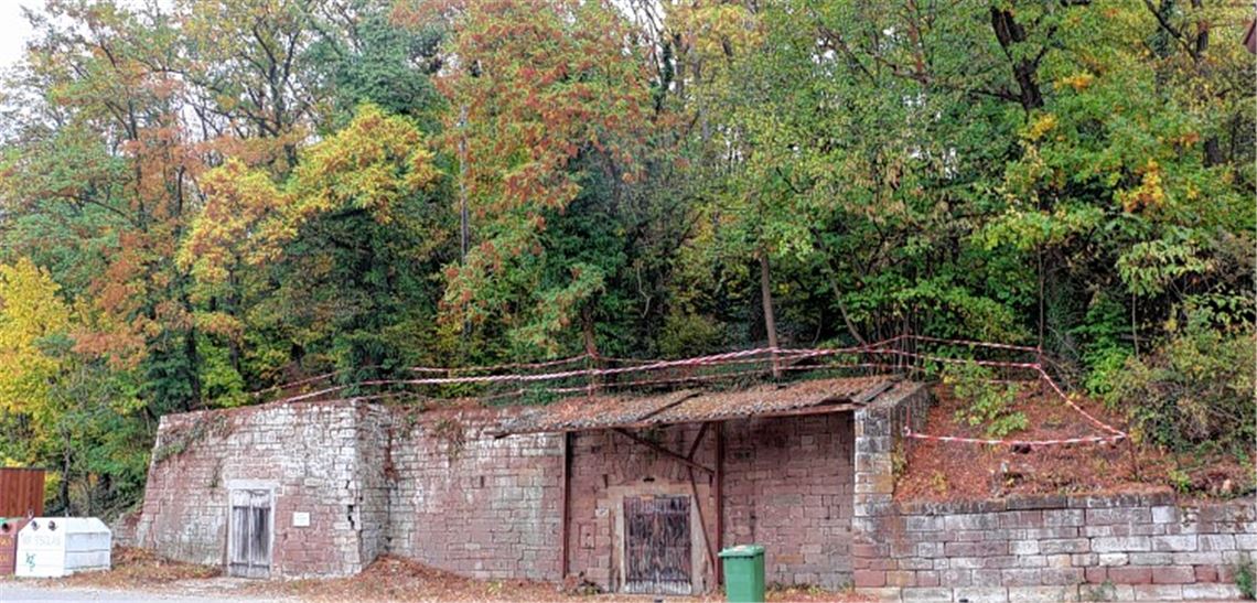 Etliche Bäume müssen weichen