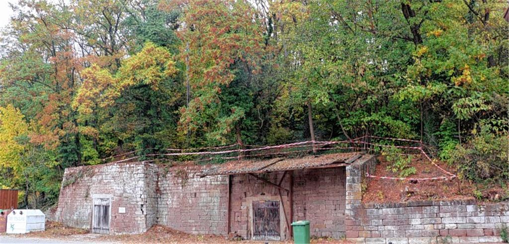 Etliche Bäume müssen weichen