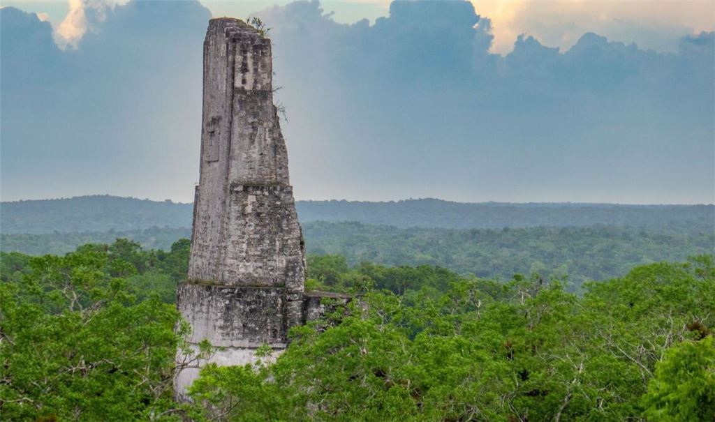 Ein Tempelrelikt der untergegangenen Maya-Metropole Tikal ragt aus dem Dschungel Guatemalas.