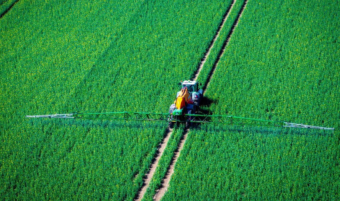 Ein Traktor zieht eine Spritzmaschine über ein Rapsfeld und versprüht Pflanzenschutzmittel.