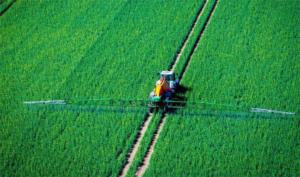 Ein Traktor zieht eine Spritzmaschine über ein Rapsfeld und versprüht Pflanzenschutzmittel.