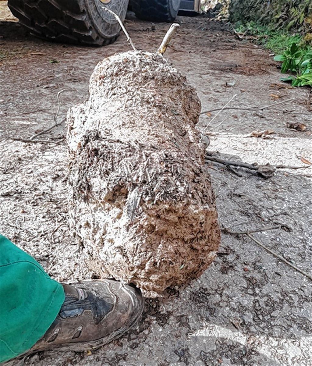 Betonbrocken demoliert Häcksler