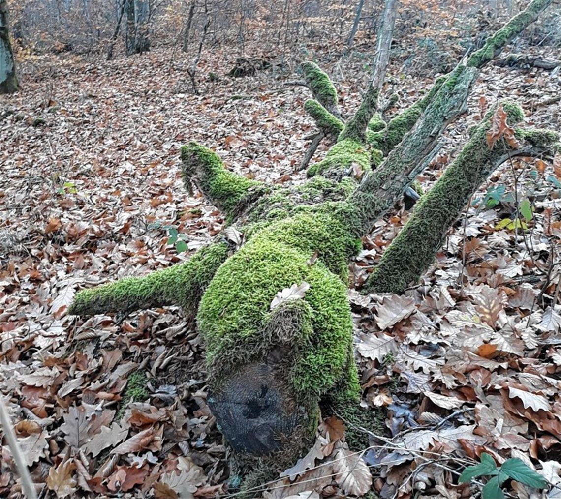 Herbstfarben Herbstfarben
