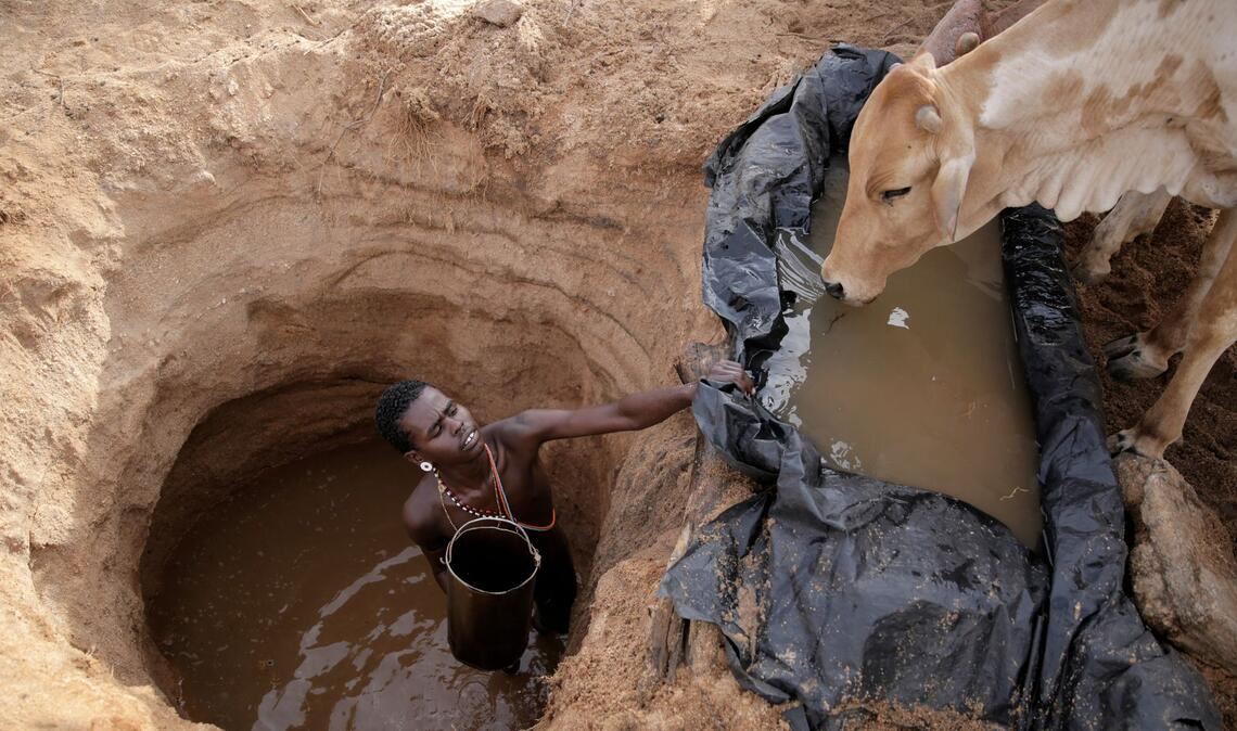 Ein Viehhirte vom Volk der Samburu im Norden Kenias tränkt Rinder (Archivbild)