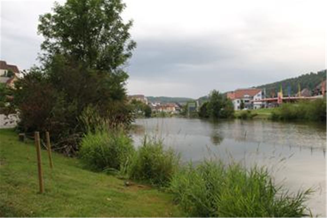 Ein Vorbild für Mühlacker ? Das renaturierte Ufer des Neckar in Horb.
Foto: Recken