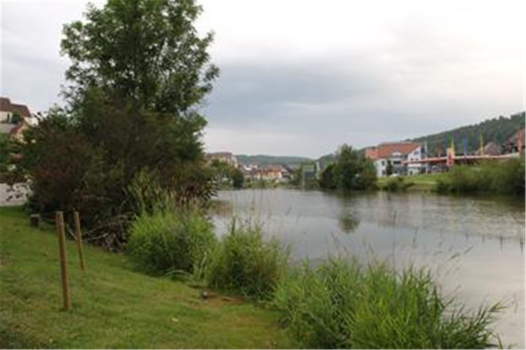 Ein Vorbild für Mühlacker ? Das renaturierte Ufer des Neckar in Horb.
Foto: Recken