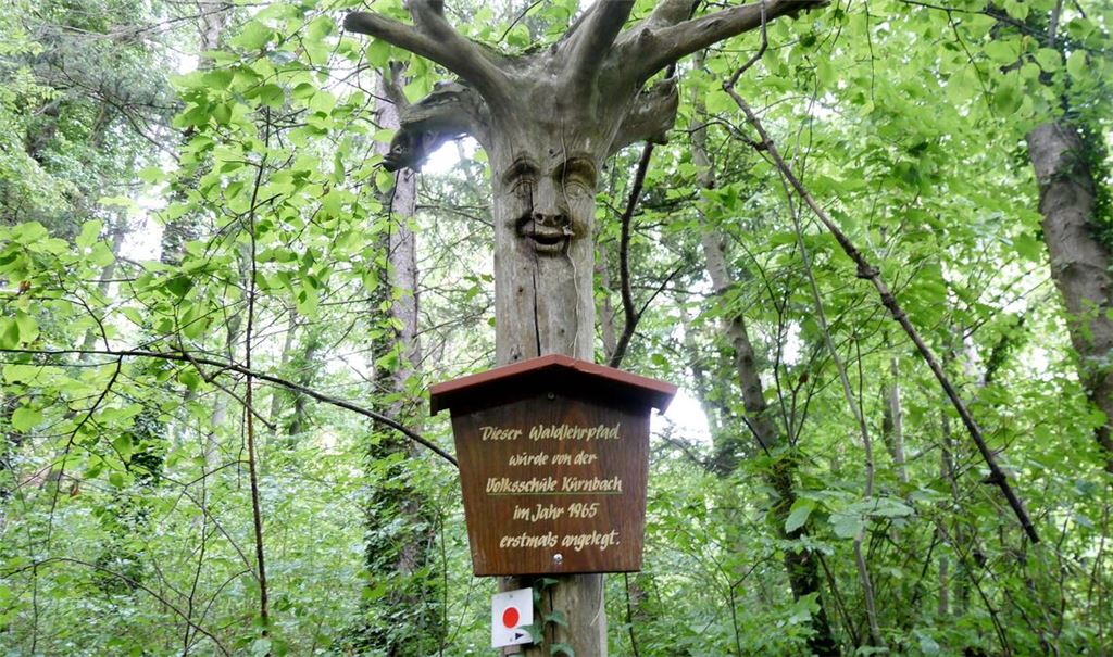Ein Waldlehrpfad verspricht Erkenntnisse in der Natur rund um Kürnbach.