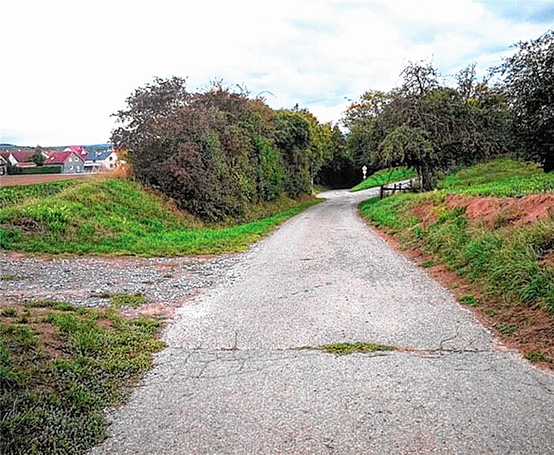 Ein bereits ausgebauter Feldweg soll als Notausfahrt zur L1134 dienen. Foto: privat