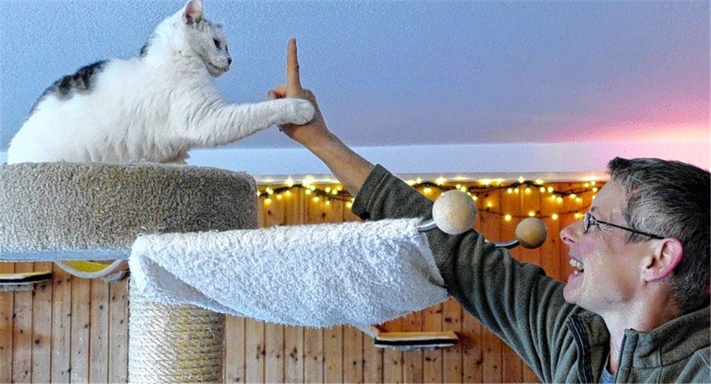 Katzenpsychologin kennt Seele der Mieze