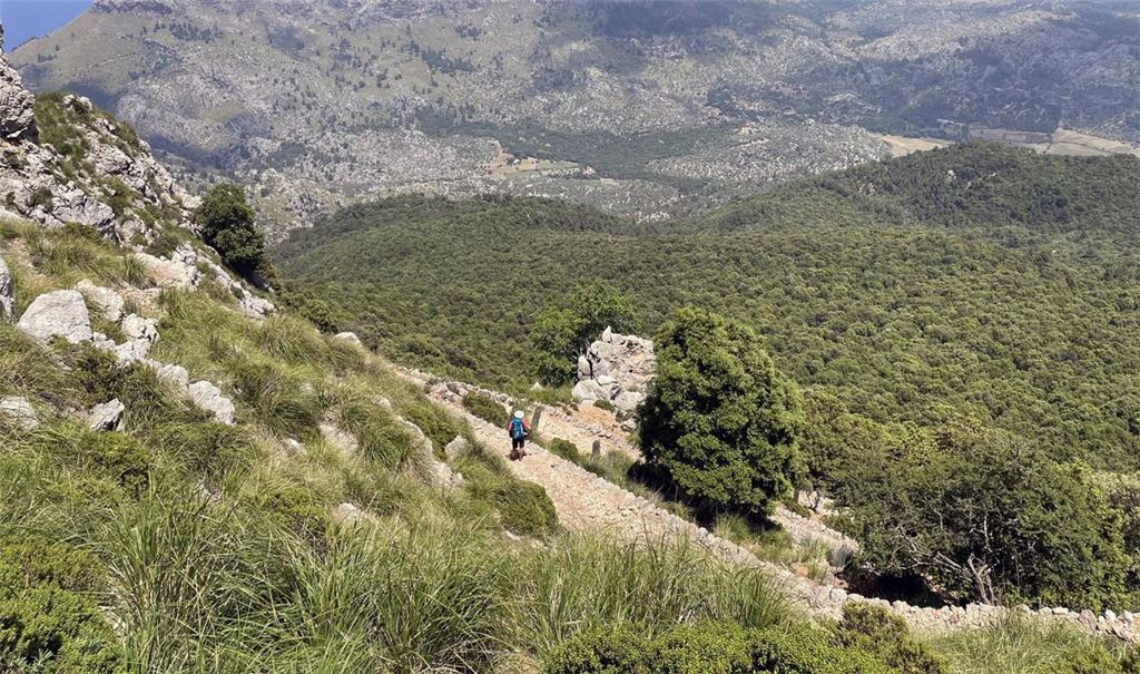 Ein deutscher Wanderer ist auf Mallorca in den Tod gestürzt.