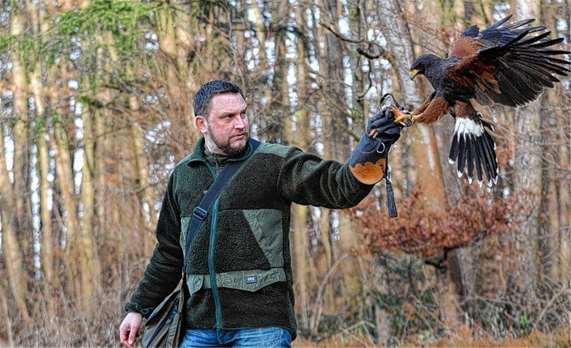 Der mit dem Greifvogel jagt