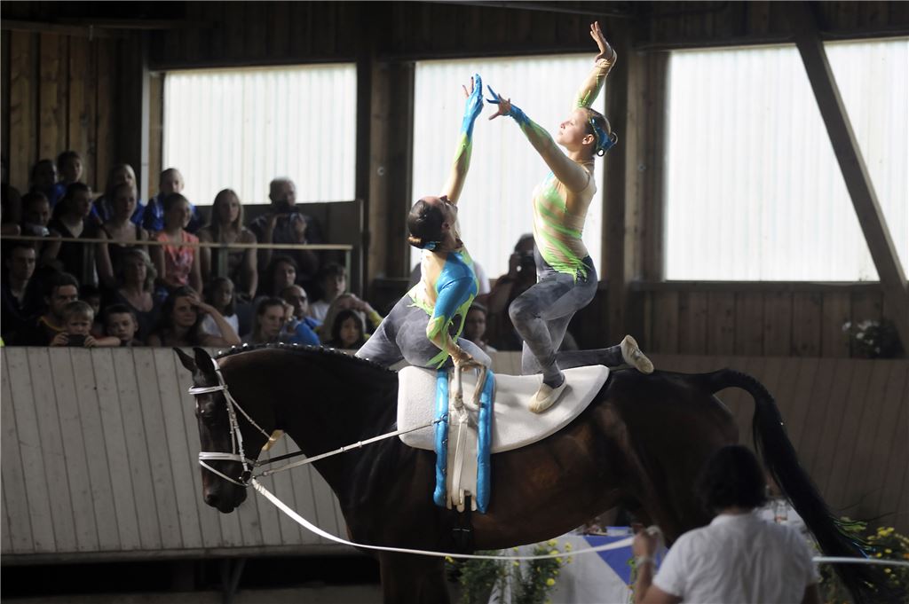 Ein gutes Signal für das nächste wichtige Turnier, bei dem es um die Fahrkarte zur DM geht: Auf dem neuen Pferd überzeugt die S-Gruppe von Pegasus Mühlacker die Wertungsrichter. „Abenteuer“ muss in Sachen Gehorsam noch dazulernen, dennoch zeigt er beim Wettkampf auf dem Dörnichhof, dass er eine Menge Talent für den Voltigiersport mitbringt.  Foto: Fotomoment