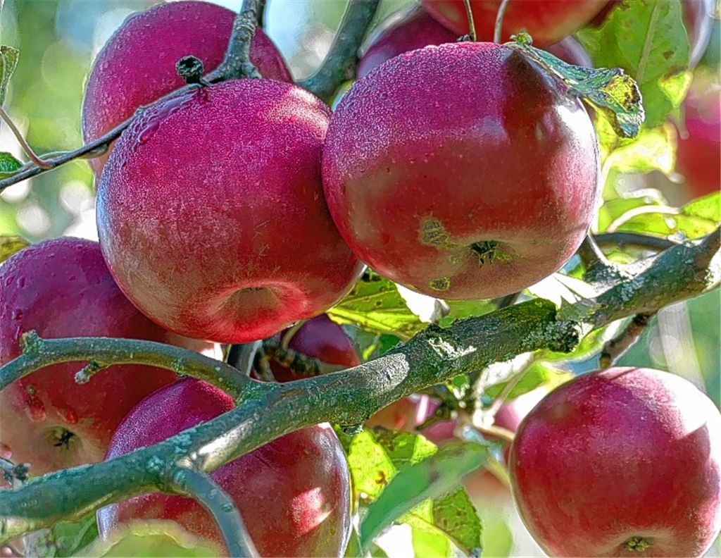 Herbstfarben