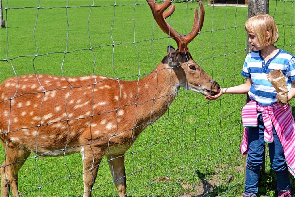 Weg frei für Wildgehege