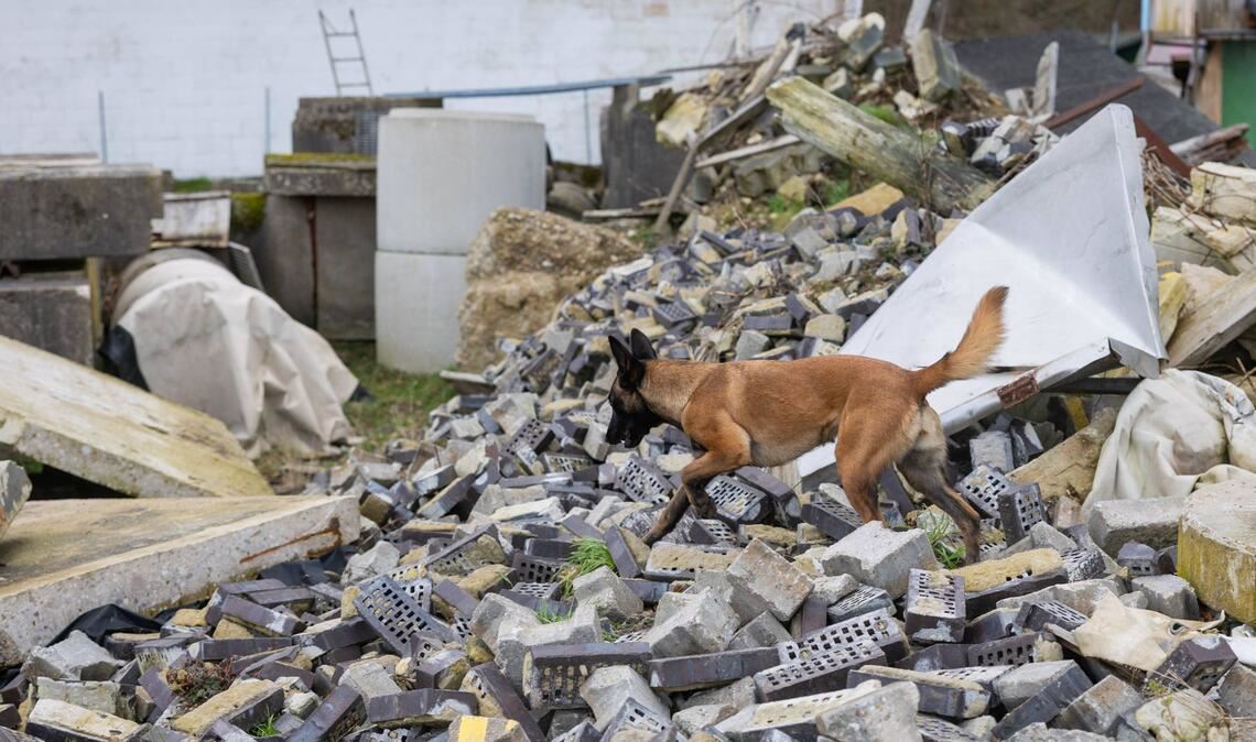 Ein starkes Erdbeben hat Japan erschüttert (Symbolbild).