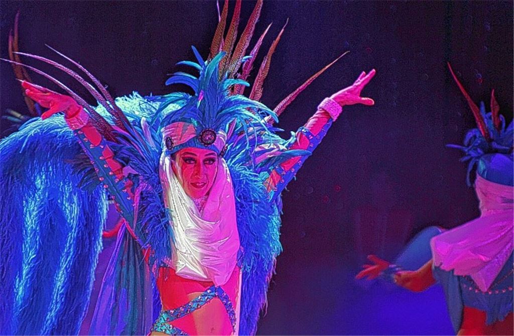 Ein stimmungsvolles Programm verspricht der Zirkus Charles Knie.