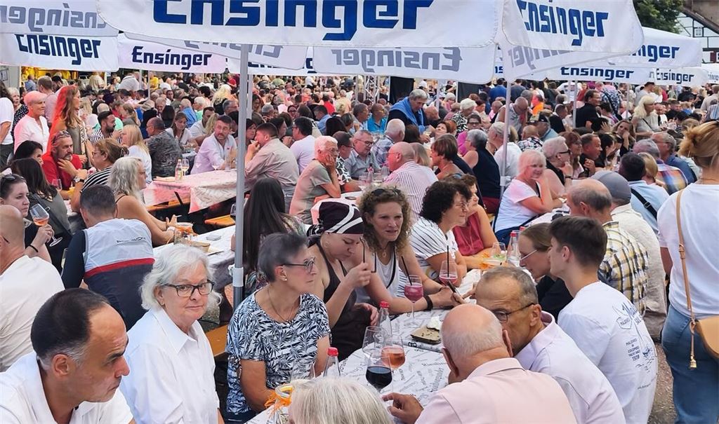 Ein voller Festplatz in der Klosterkulisse: Maulbronn genießt den Weinsommer in bester Sommerstimmung. Fotos: Müller