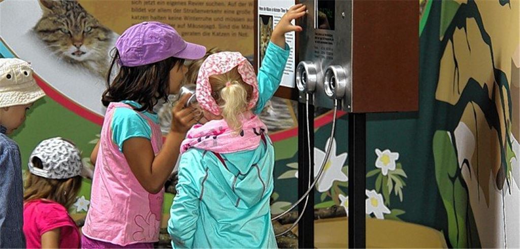 Wildkatzen und andere Attraktionen