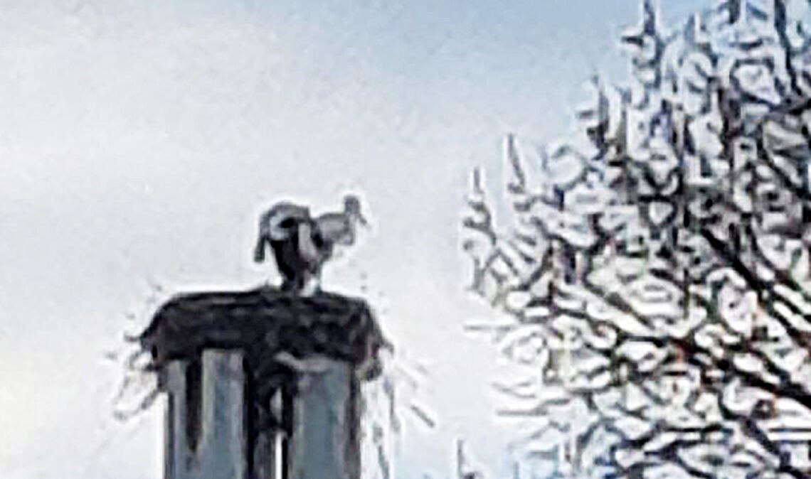 Ein zweiter Storch interessiert sich für das Nest auf dem Bauhofgelände. Foto: privat