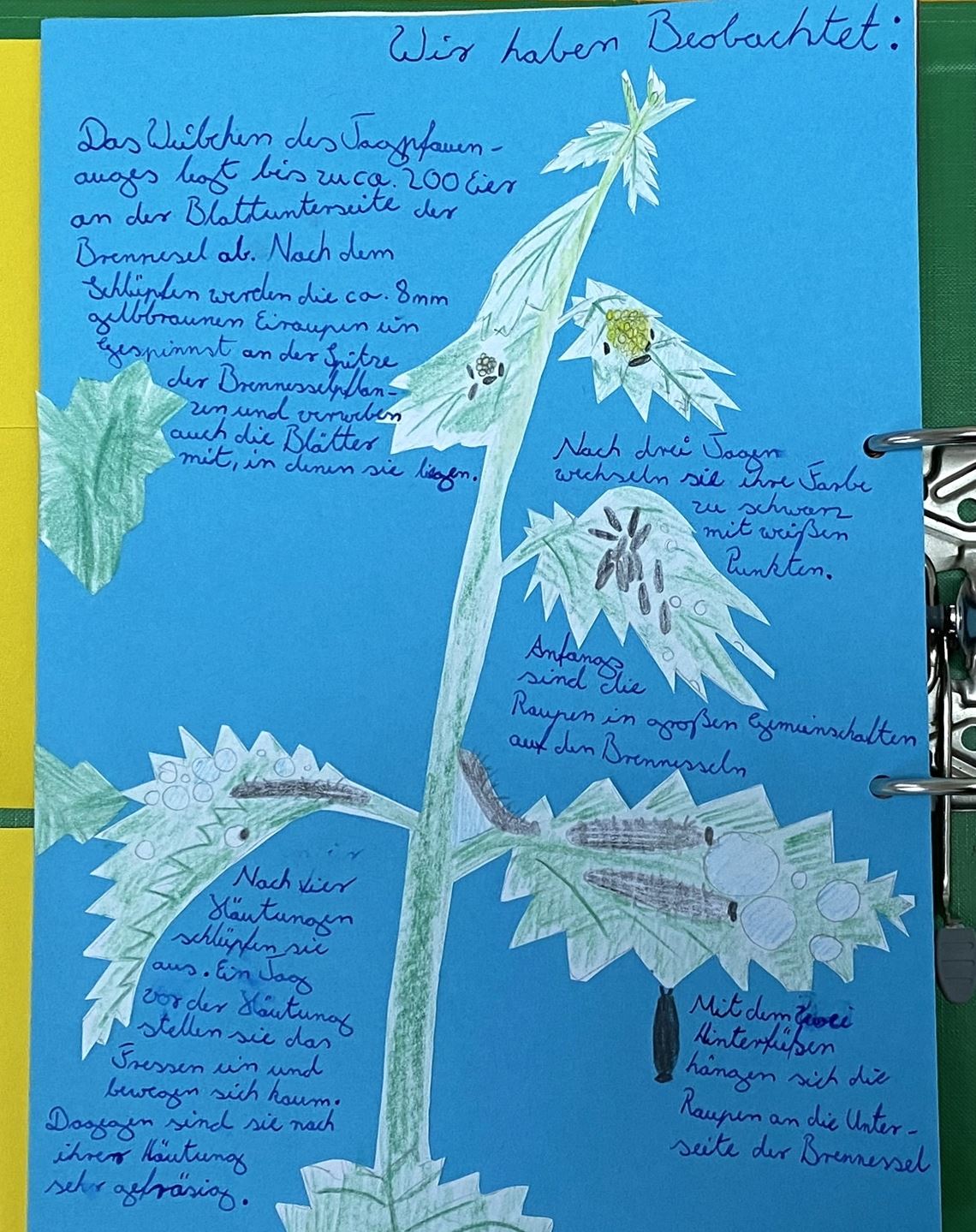 Einblick in das Naturtagebuch von Jann und Lea Eifried. Foto: BUNDjugend BW