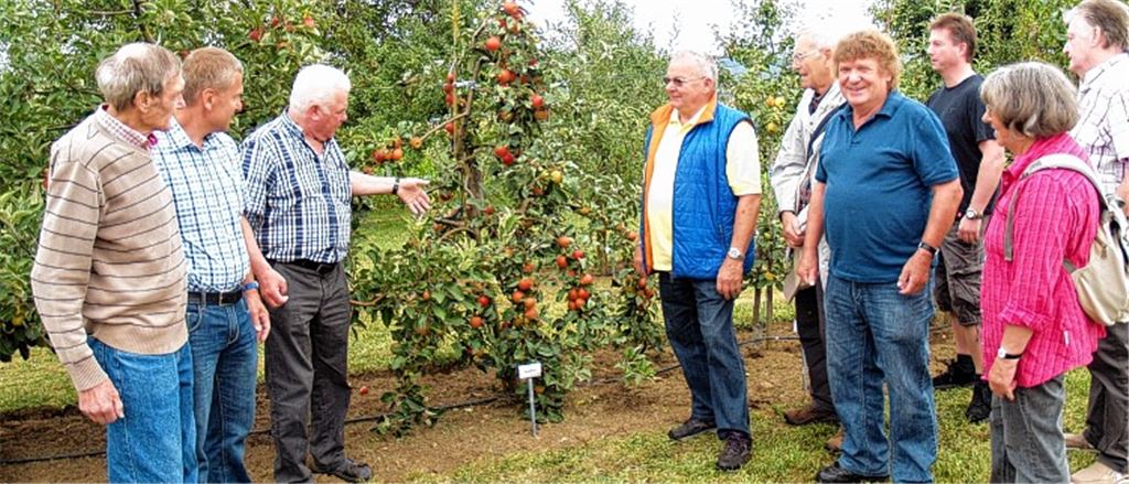 OGV-Fest zieht Besucherscharen an