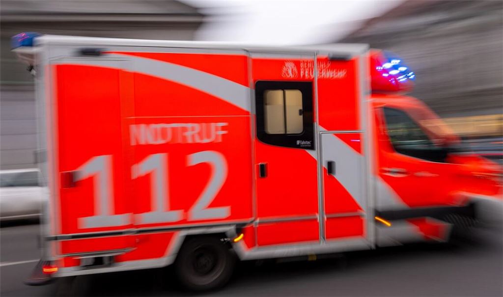 Eine Betreuerin kam in einem Zeltlager in Schleswig-Holstein durch einen umgestürzten Baum ums Leben. (Symbolbild)