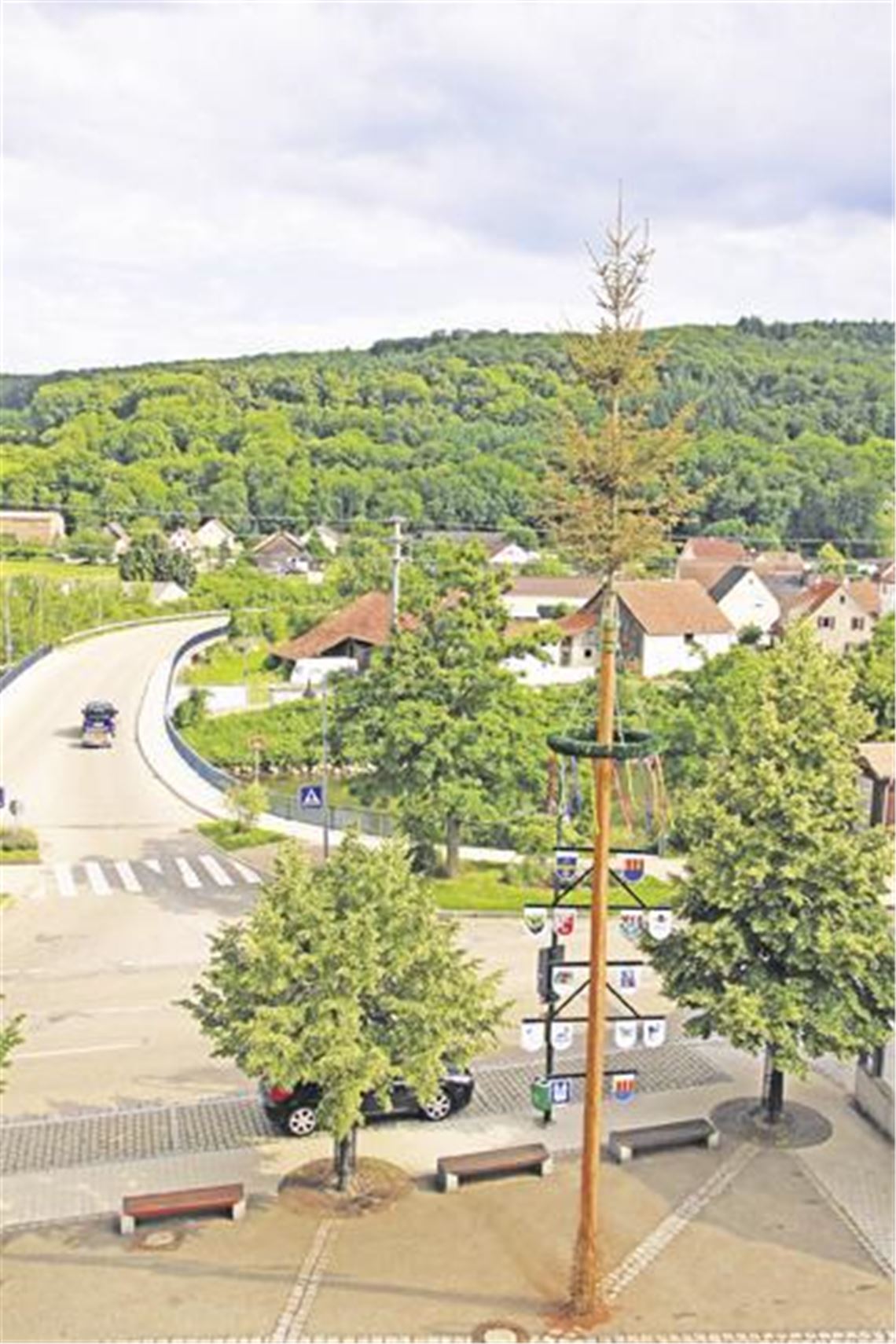 Eine Elsterfamilie besetzt den Lomersheimer Maibaum. Er bleibt vorläufig stehen. Foto: Recken