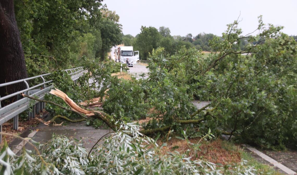 Eine Folge des Sturms Mitte Juli: umgestürzte Bäume an der Kreisstraße zwischen Vaihingen und Kleinglattbach. Foto: Arning