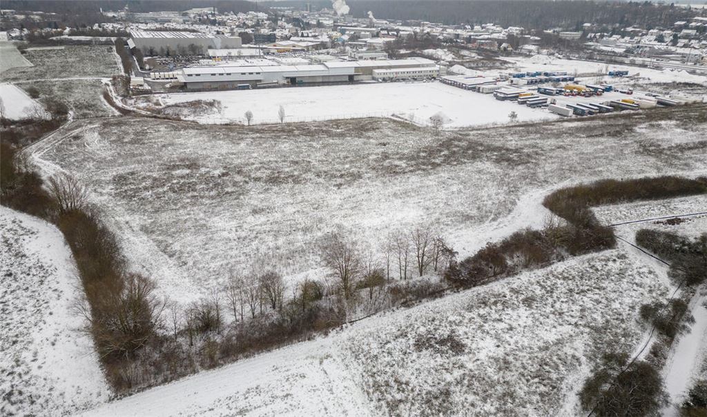 Eine Forderung des BUND: Die Feldhecke auf dem Ziegeleiareal soll erhalten bleiben. Foto: Fotomoment