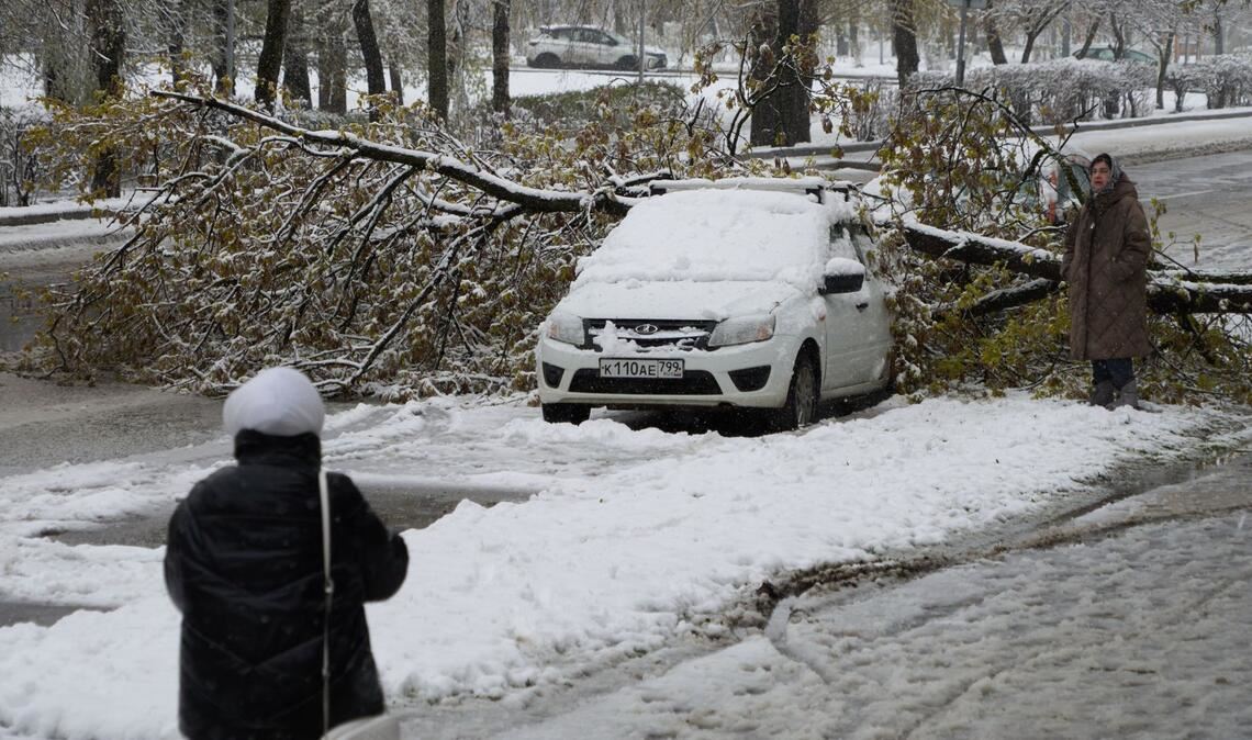 Eine Frau betrachtet ein Auto, das nach einem Schneefall unter einem Baum eingeklemmt ist.