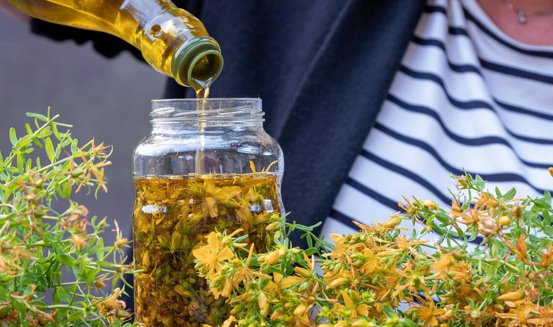 Eine Frau hat Blüten des Johanniskrauts gezupft und gießt sie  dann mit Olivenöl auf. Der Aufguss wird dann acht Wochen stehen und reifen. Das im Johanniskrautöl enthaltene Enzym Hyperforin beschleunigt die Bildung neuer Blutgefäße und unterstützt die Wundheilung.