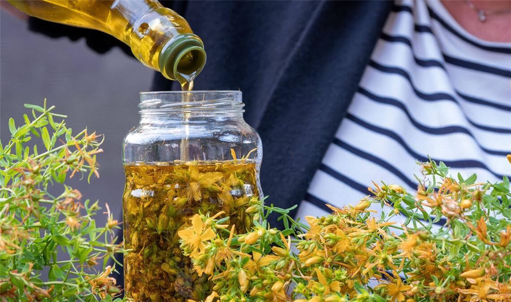 Eine Frau hat Blüten des Johanniskrauts gezupft und gießt sie  dann mit Olivenöl auf. Der Aufguss wird dann acht Wochen stehen und reifen. Das im Johanniskrautöl enthaltene Enzym Hyperforin beschleunigt die Bildung neuer Blutgefäße und unterstützt die Wundheilung.