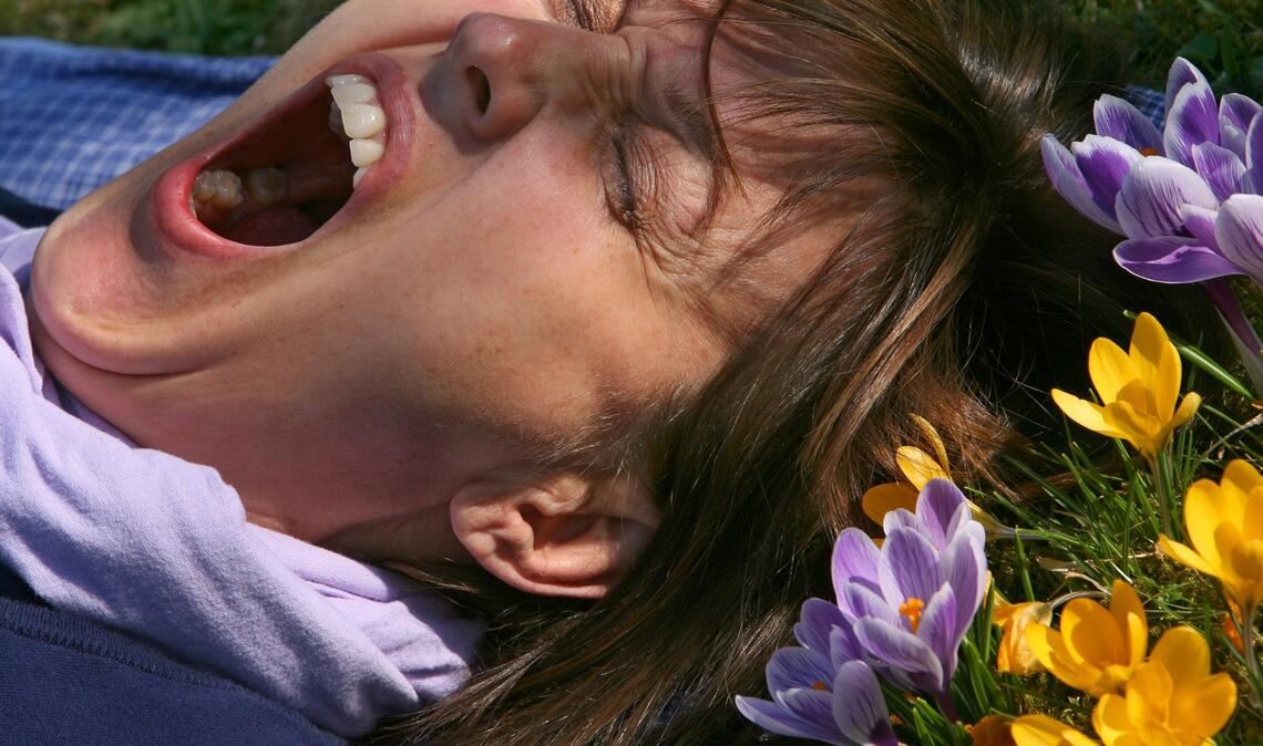 Eine Frau liegt auf einer mit Krokussen bewachsenen Wiese und gähnt. (Archivbild)