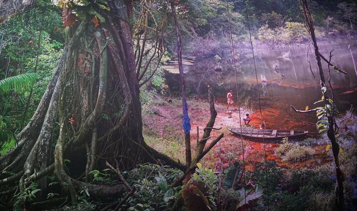 Eine Fülle von Details hat der Künstler Yadegar Asisi auf 3500 Quadratmetern Leinwand festgehalten und entführt die Gasometer-Besucher in den Regenwald. Fotos: Bastian