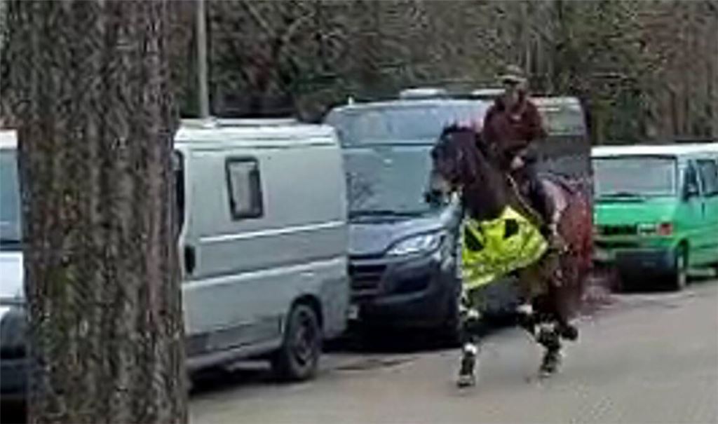 Eine Reitlehrerin aus Freiburg hat mit ihrem Pferd für ein ungewöhnliches Blitzerfoto gesorgt (Symbolfoto).