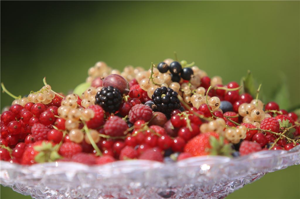 lh Rundgang Bauernhof Stahl (4)