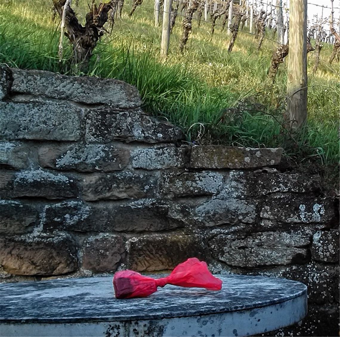 Tüten ärgern Spaziergänger