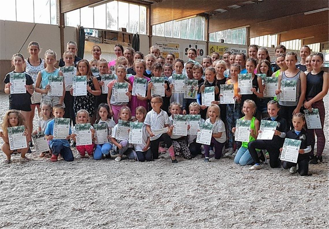 Eine Woche mit Pferden und Akrobatik