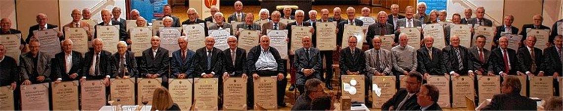 Ein Plädoyer für die Meisterpflicht