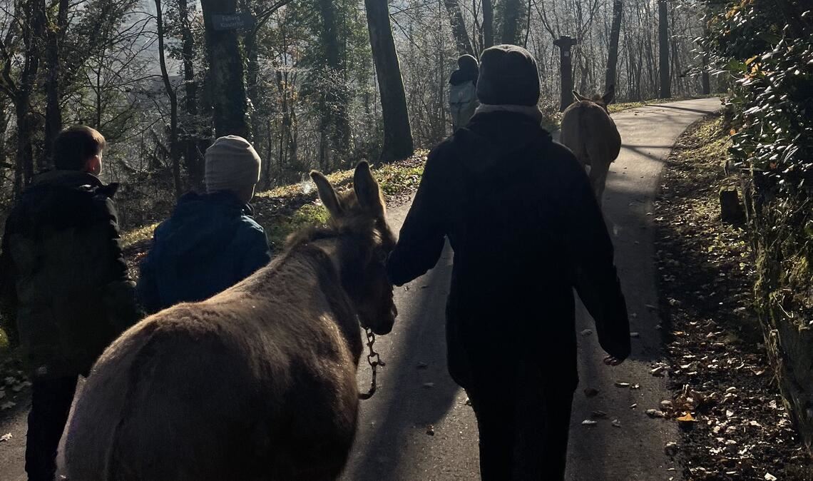 Eine beinahe mystische Stimmung herrscht bei den Eseltouren, die Susanne Michel mit ihren Tieren rund ums Kloster Maulbronn anbietet. Fotos: Seidel