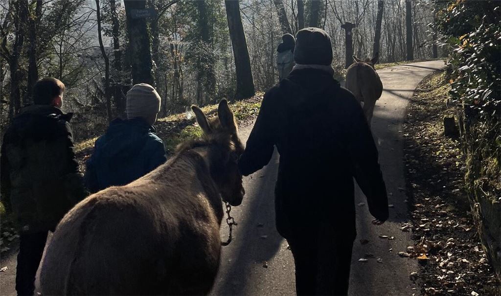 Eine beinahe mystische Stimmung herrscht bei den Eseltouren, die Susanne Michel mit ihren Tieren rund ums Kloster Maulbronn anbietet. Fotos: Seidel