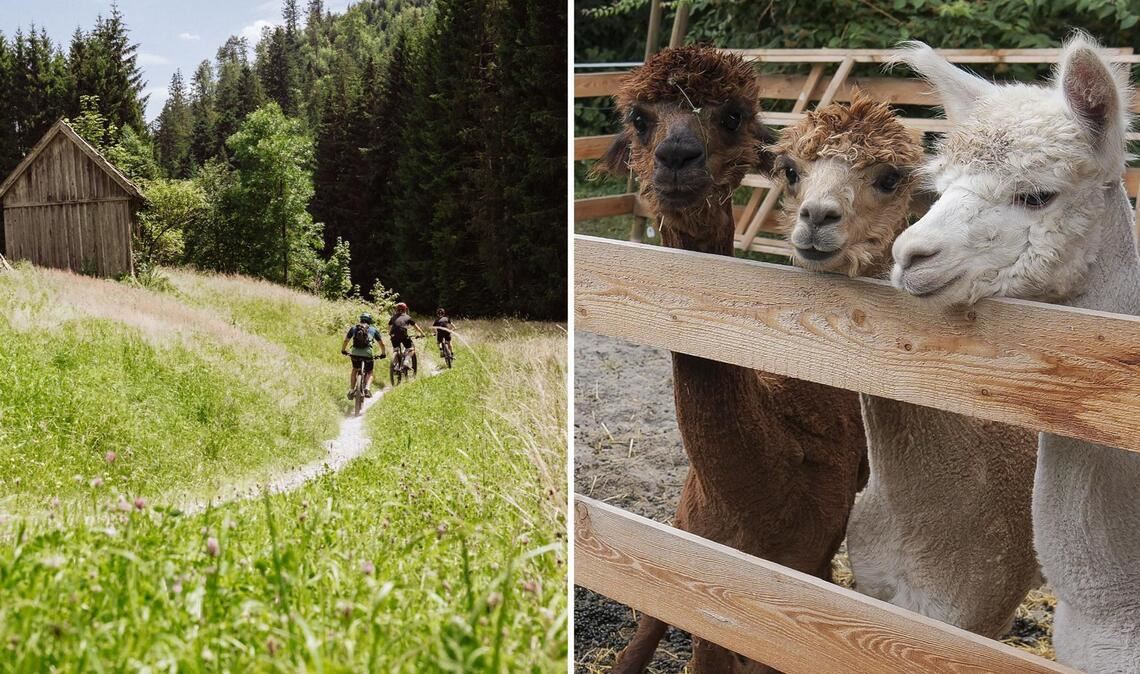 Eine der anstehenden Veranstaltungen: Auf dem Mountain-Bike rund um Baiersbronn.