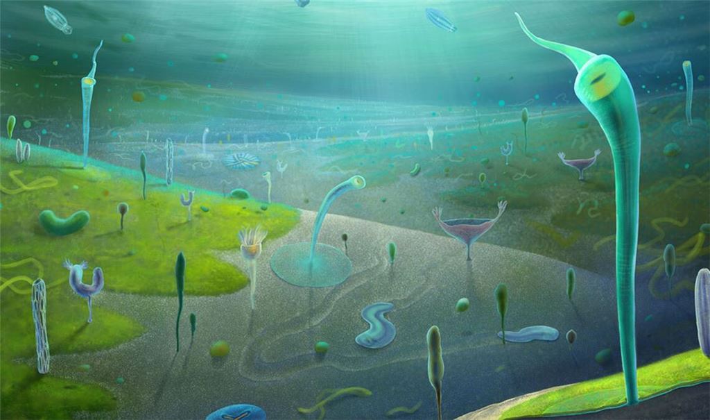 Eine neu entdeckte Fossil-Lagerstätte in China verrät, wie die Lebenswelt vor 554 bis 539 Millionen Jahren aussah.