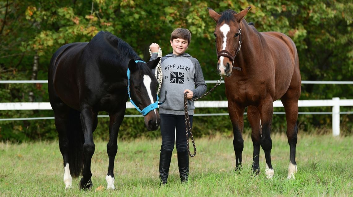 Eine vertraute Gemeinschaft auf der Koppel: Lucca Pfeil und seine liebsten Turnierpferde Wanonida (li.) und Diamond Lady. Friopics
