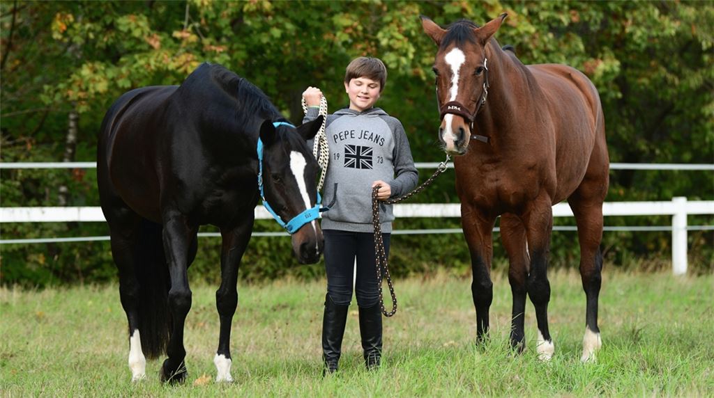 Eine vertraute Gemeinschaft auf der Koppel: Lucca Pfeil und seine liebsten Turnierpferde Wanonida (li.) und Diamond Lady. Friopics
