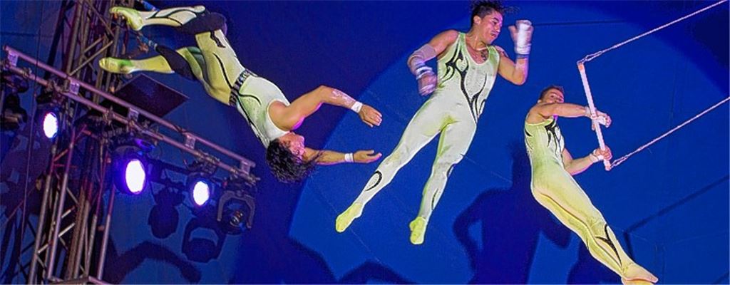 Exotische Tiere und fliegende Artisten