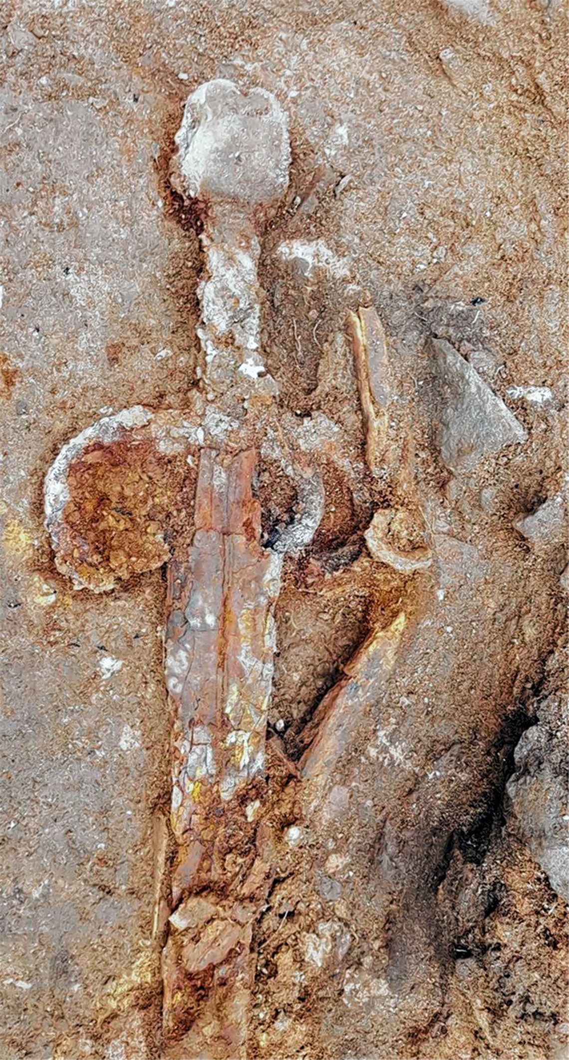 Wichtige Funde unterm Parkplatz