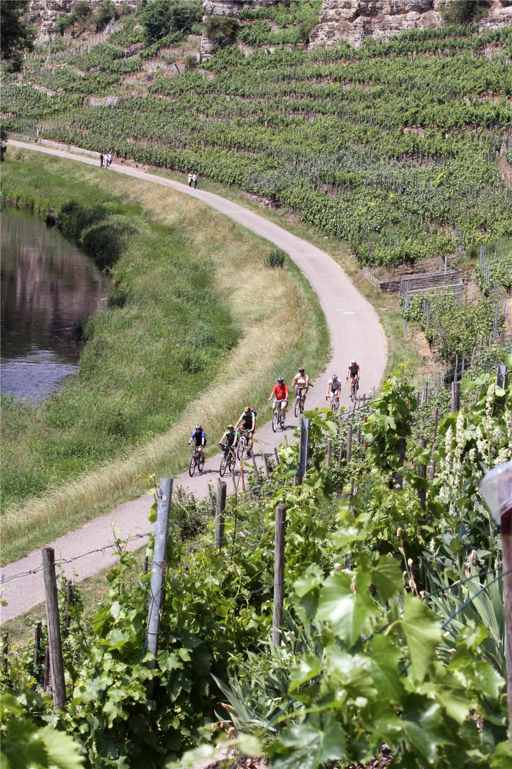 ih_Enztalradweg2