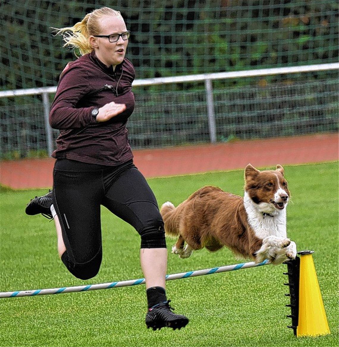 Zwei Medaillen für Mühlacker Hundesportler