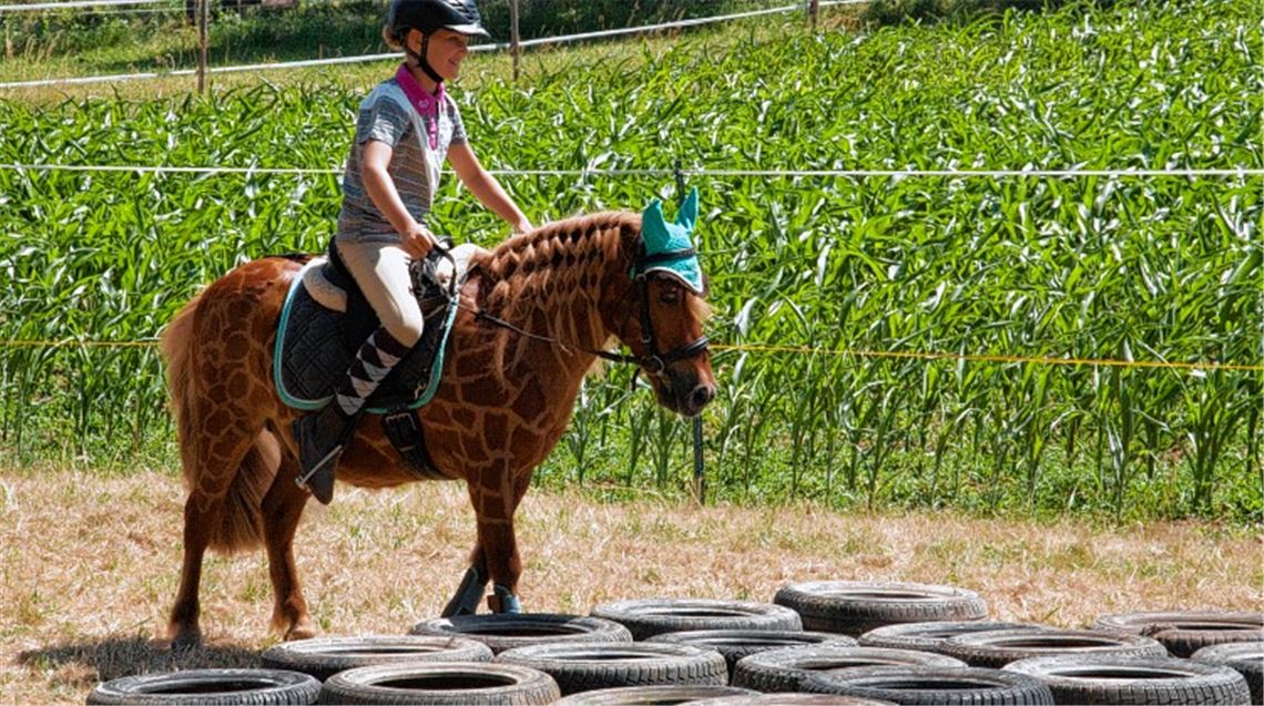 Eingespieltes Team: Pferde, die ihrem Reiter vertrauen, gehen auch durch Autoreifen.